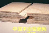 �c���鿴T&G plywood�Ŵ�DƬ