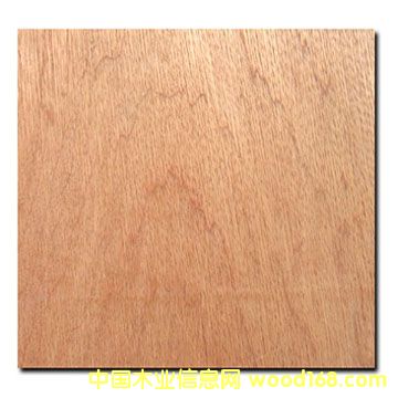 �c���鿴Bintangor plywood�Ŵ�DƬ