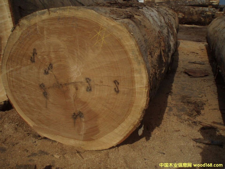 ������ľ��Ԕ����B