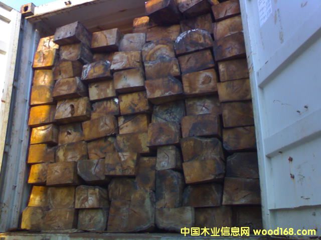 ���ށ�������־��ѵȵ�Ԕ����B