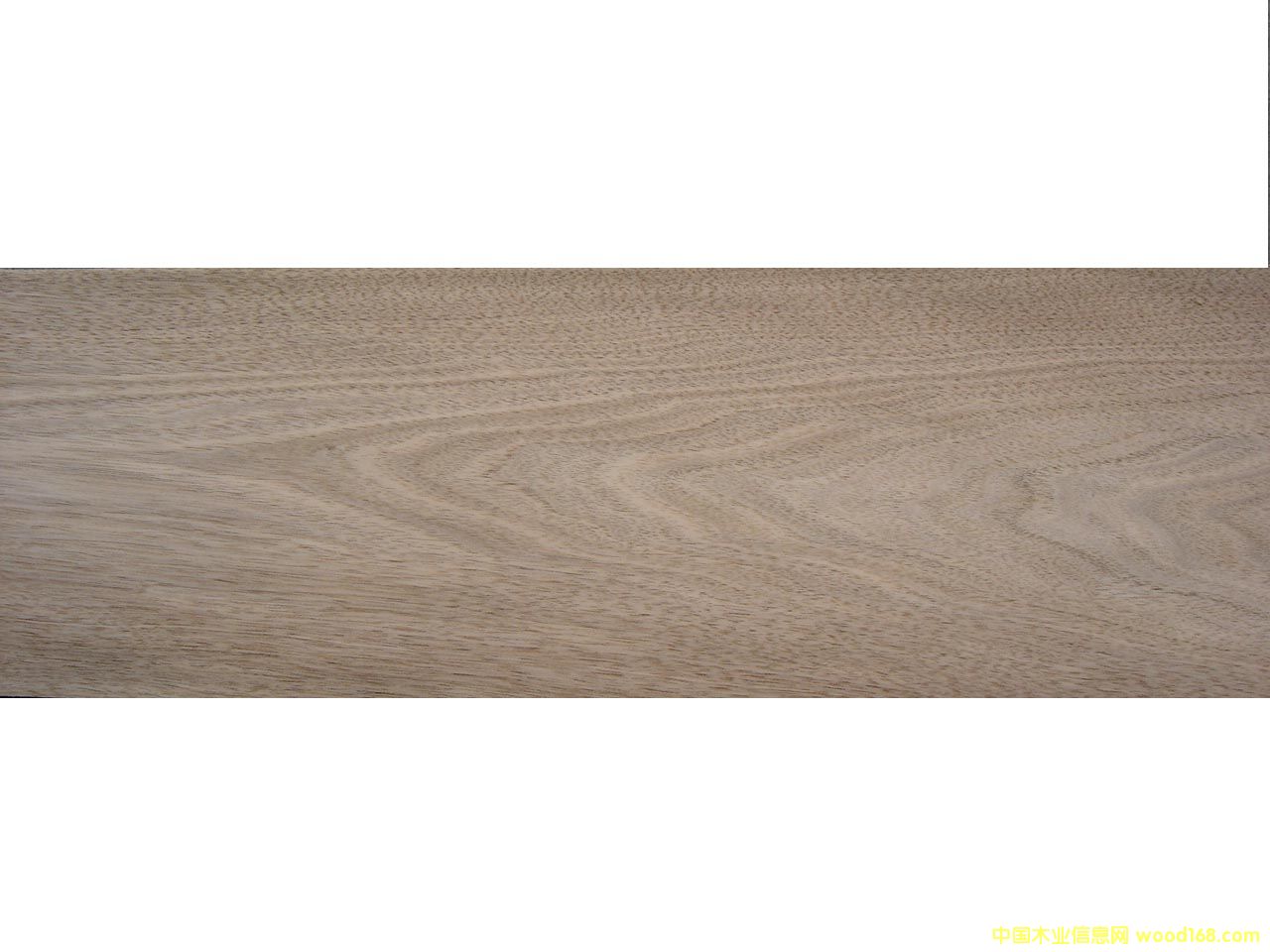 �c���鿴Chinese Walnut�Ŵ�DƬ