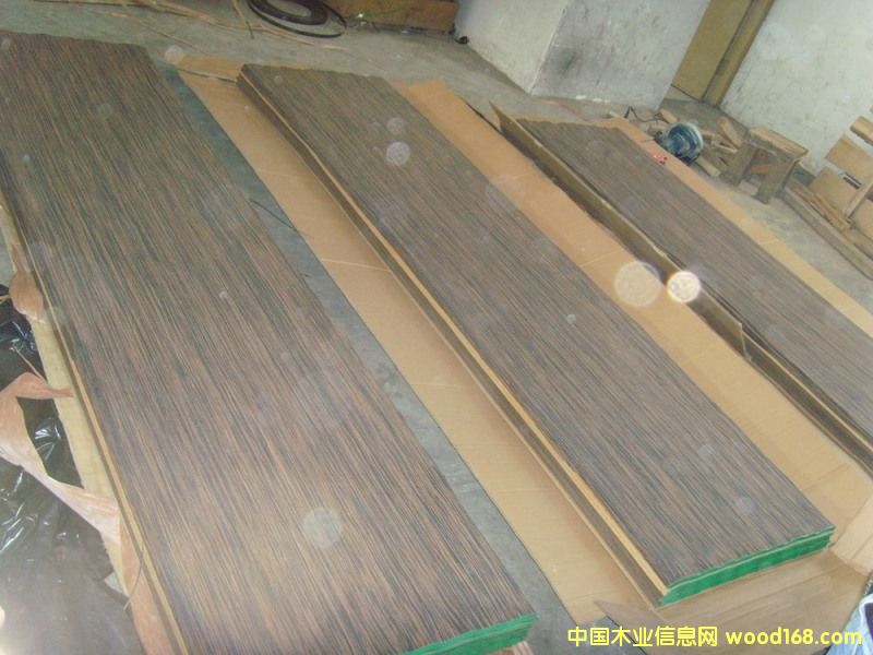 �c���鿴Ebony�Ŵ�DƬ