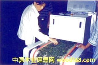 ΢���Ʋ�����O���Ԕ����B