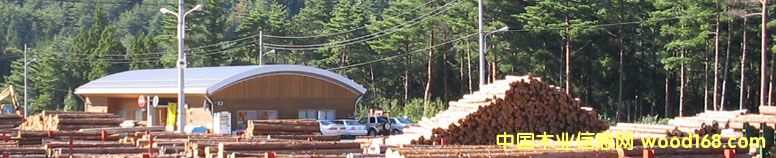 �M��ľ�ĵ�Ԕ����B