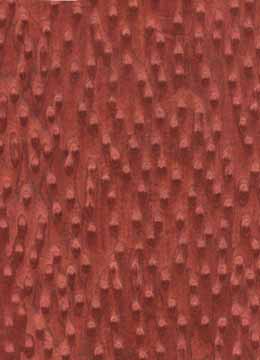 �t؈�۵�Ԕ��(x��)��B