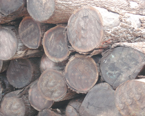 �t��ԭľ��Ԕ����B