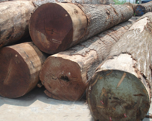 �ں���ԭľ��Ԕ����B