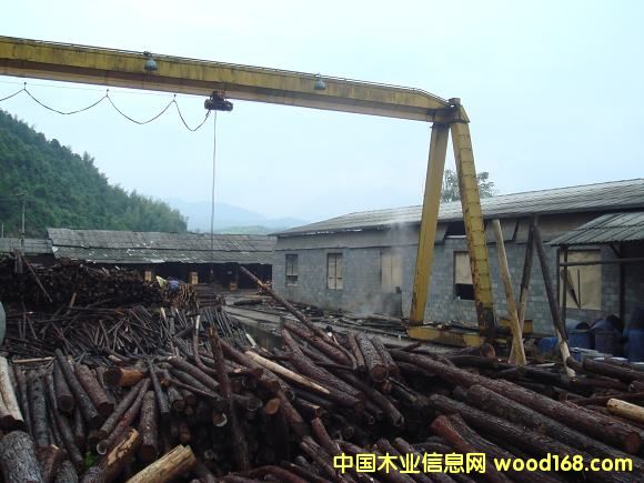 �c���鿴��ľ���Ŵ�DƬ