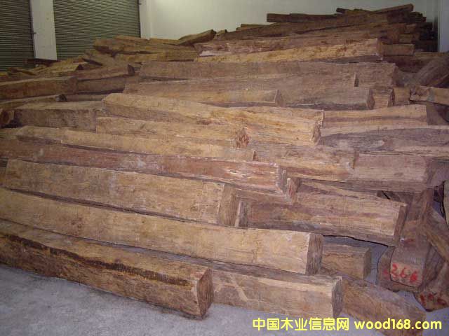 �ϓ�t��֦��Ԕ����B