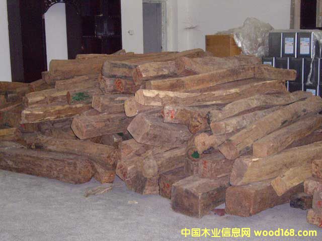 �ϓ�t��֦��Ԕ����B