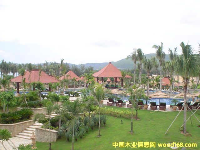 �������f����ͤ