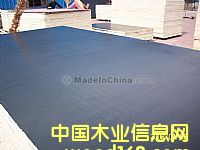 ��Ĥ��Ĥ���Ԕ����B