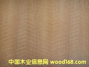 �tӰ�N����Ԕ����B