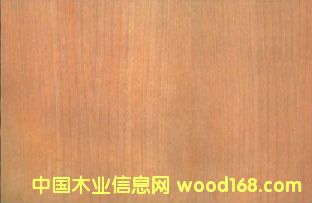 ���������N����Ԕ����B