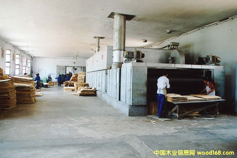 ���a�F�S��Ԕ����B