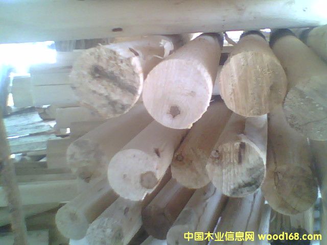 ��ľ�ĵ�Ԕ����B