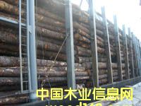 ��ɼ��Ԕ����B