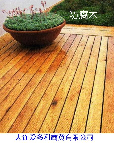 �������ľ�ذ��Ԕ����B