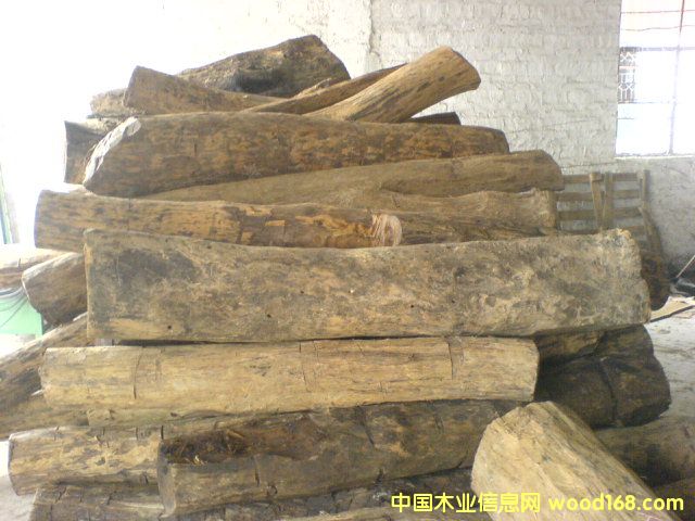 ��֦��Ԕ����B