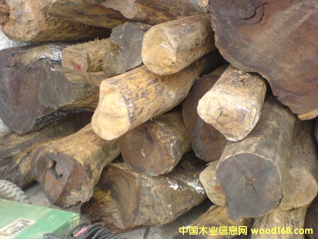 ��֦��Ԕ����B