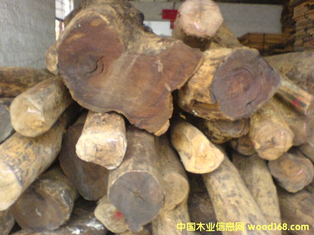 ��֦��Ԕ����B