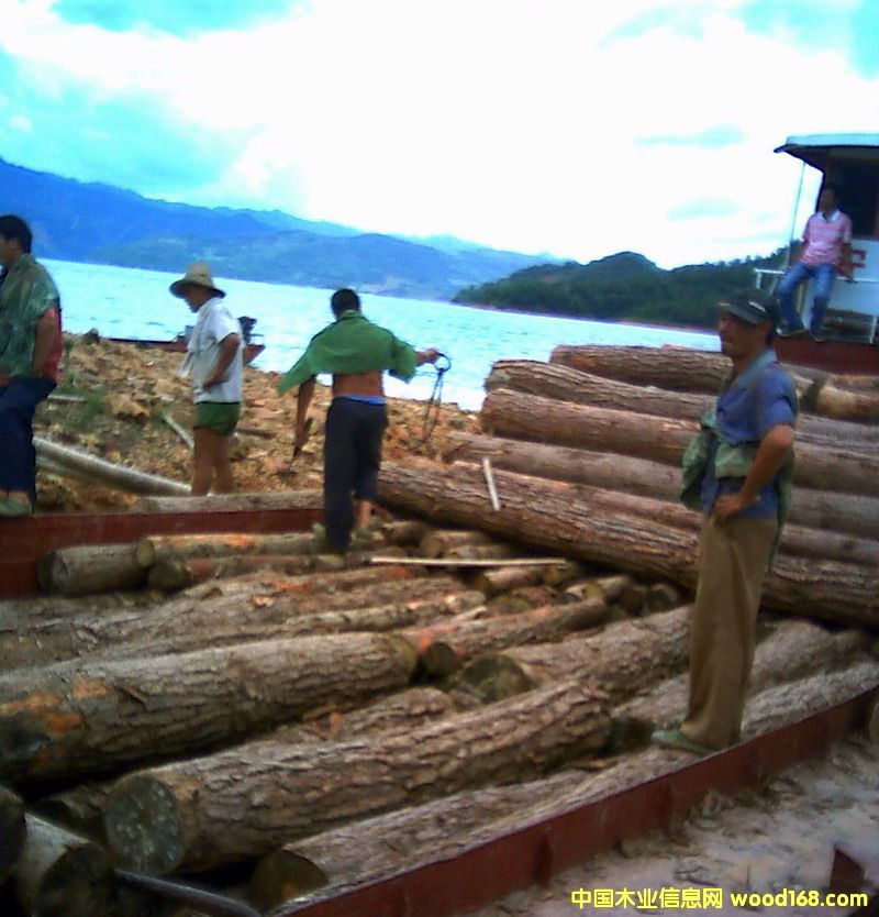 ��ľ��Ԕ����B