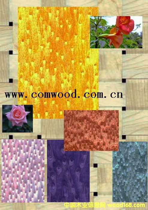 �b���5��Ԕ����B