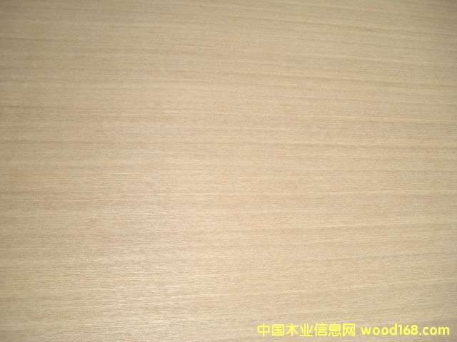 ��ľ�p�N��(x��)ľ�������Ԕ��(x��)��B