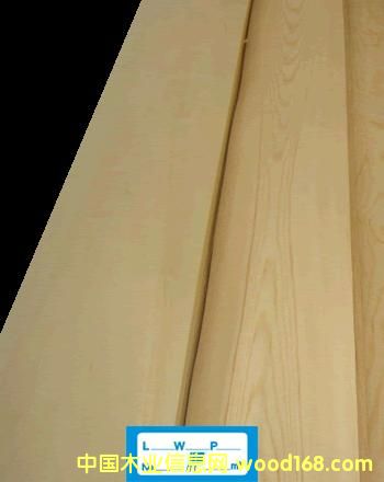 ��ľɽ�y��Ԕ����B