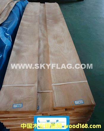 0.6�t����ɽ�y��Ԕ����B