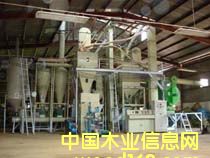 �����|�w���C��Ԕ����B