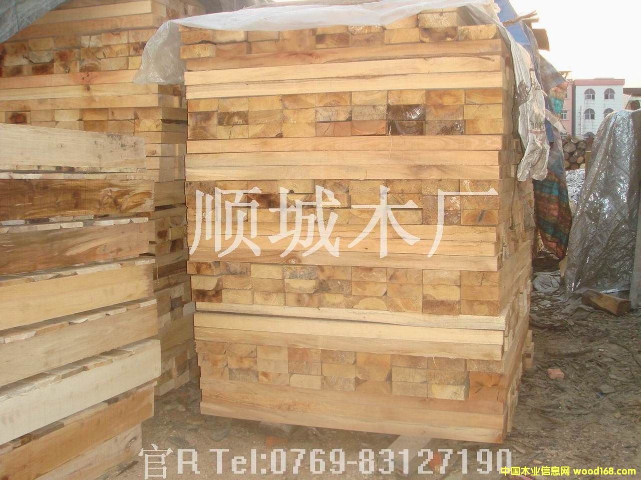 ľ����Ԕ����B