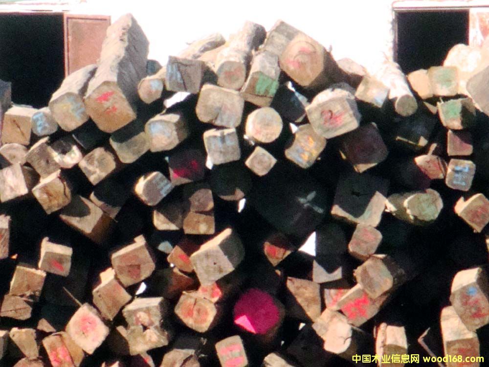 ��֦ľ��Ԕ����B