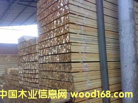 ���N���ɗl��Ԕ����B