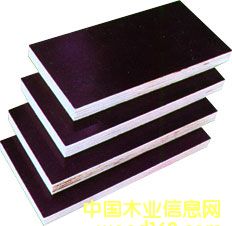 ����ģ���Ԕ����B