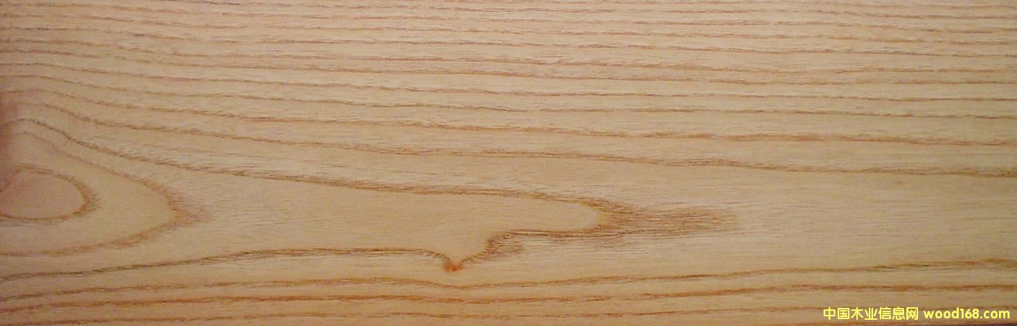 ������Ԕ����B