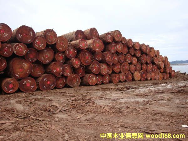 okan��Ԕ����B