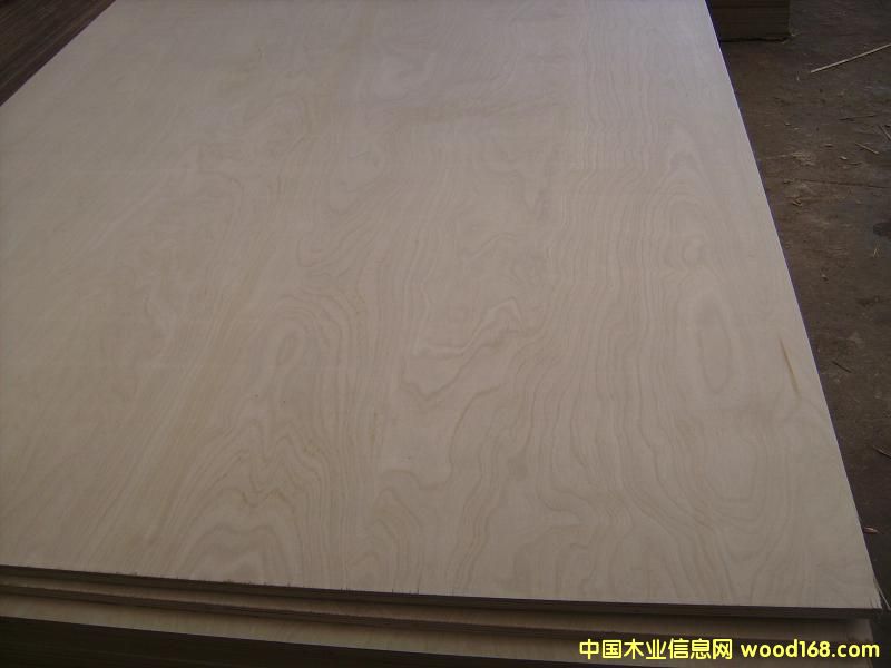 ��ľ�z�ϰ��Ԕ��(x��)��B