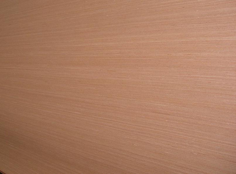 �Ƽ�ľϵ�е�Ԕ����B