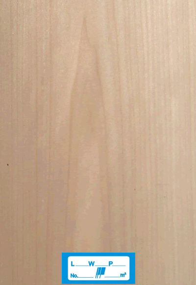 �{��ľƤ����NO.9�����M��ľƤ������ľľƤ��Ԕ����B