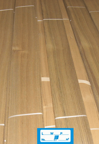 �{��ľƤ����NO.9�����M��ľƤ����̩��ľƤ��Ԕ����B