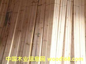 ɼľָ�ӗl��Ԕ��(x��)��B