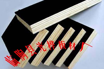 ����ģ���Ԕ����B