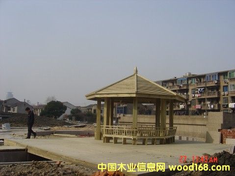 �c���鿴�V������ľ�Ŵ�DƬ