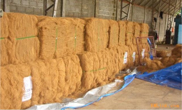 Ҭ�ص�Ԕ����B