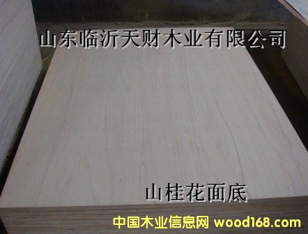 ɽ������z�ϰ��Ԕ����B