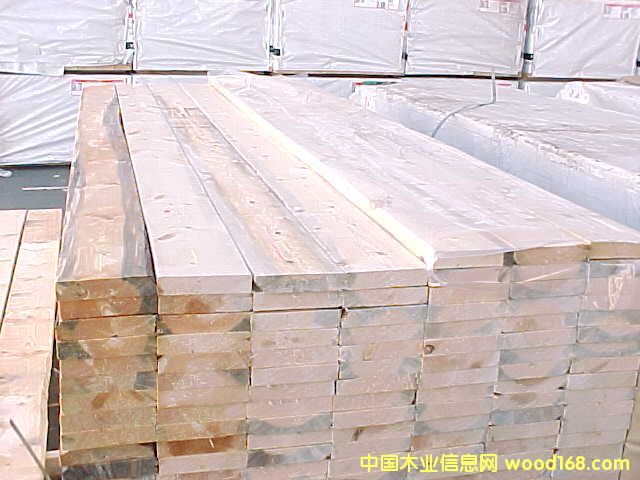 �M��ľ��--SPF��Ԕ����B