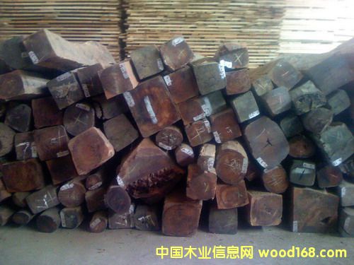 �c���鿴�����ϼtľ�Ŵ�DƬ