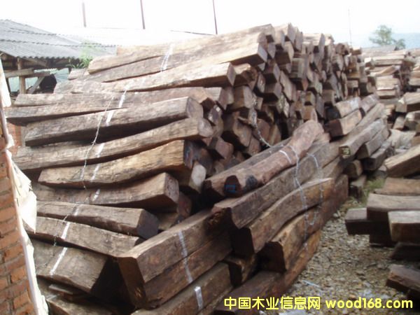 �c���鿴����t��֦�Ŵ�DƬ