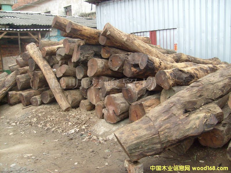 �c���鿴�ϓ��u��ľ���Ŵ�DƬ